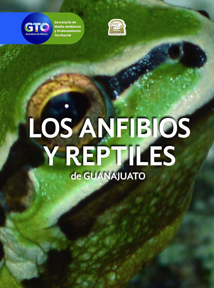 Portada libro.jpg
